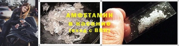 молекула духа Ельня