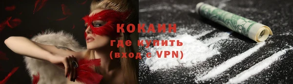 молекула духа Ельня
