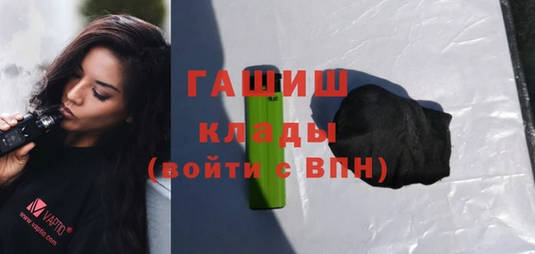 молекула духа Ельня