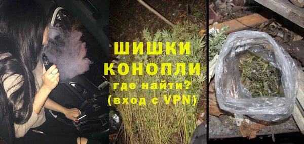 молекула духа Ельня
