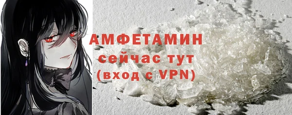молекула духа Ельня