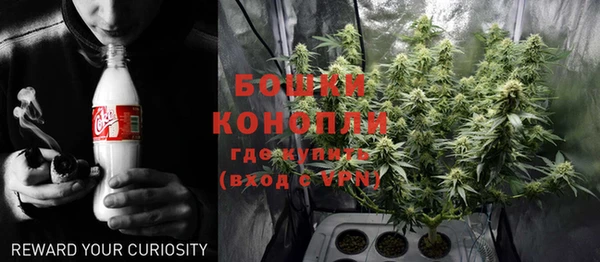 молекула духа Ельня