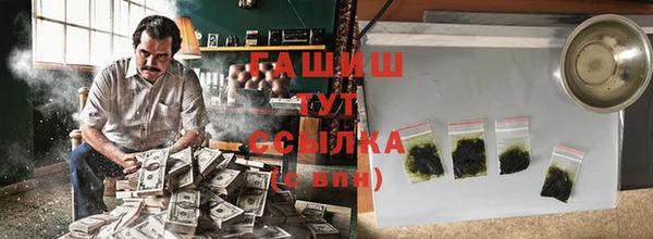 молекула духа Ельня